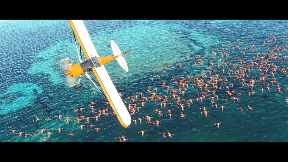 Capture de Microsoft Flight Simulator