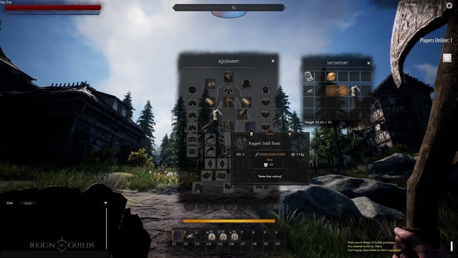 Capture de Reign of Guilds