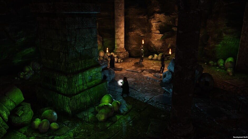 Capture de Solasta: Crown of the Magister