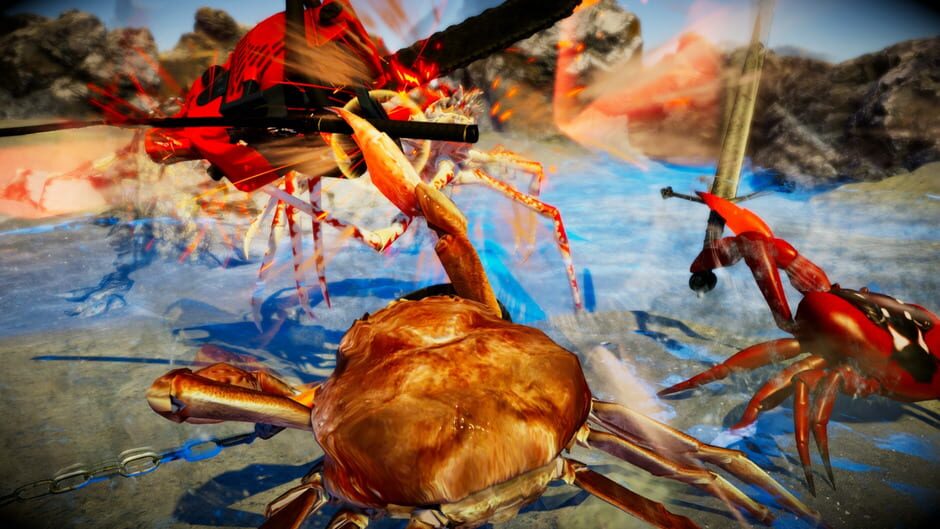 Capture de Fight Crab