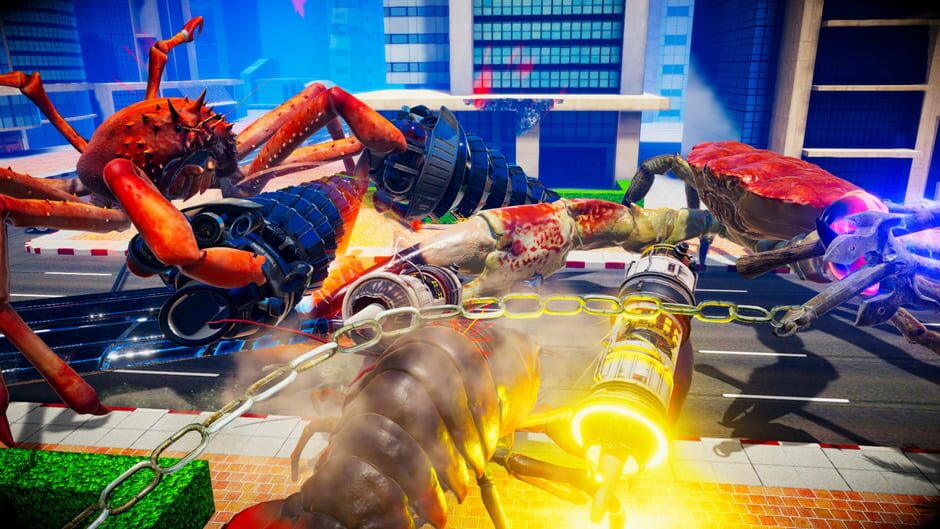 Capture de Fight Crab