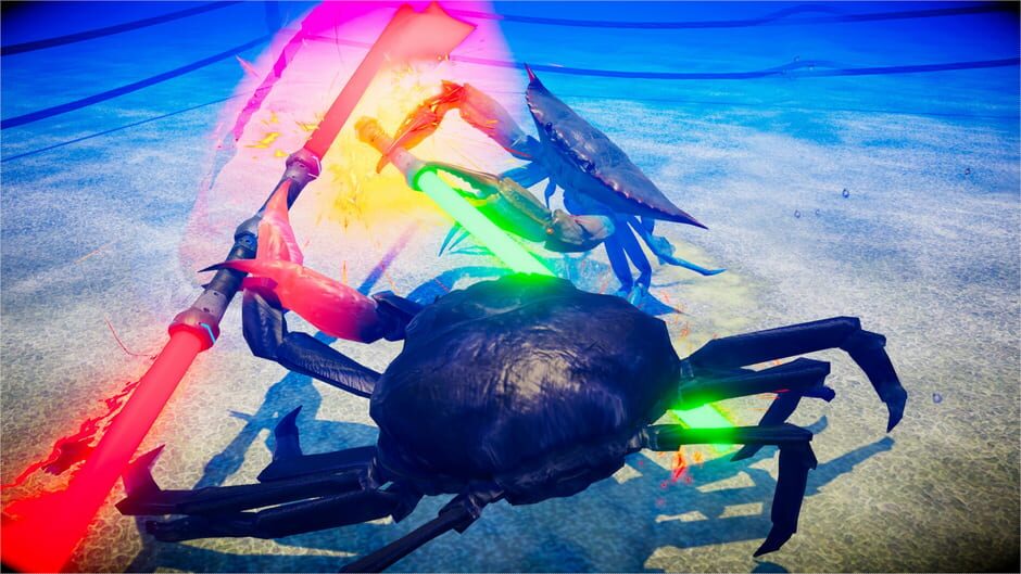 Capture de Fight Crab