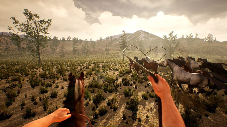 Capture de Cowboy Life Simulator