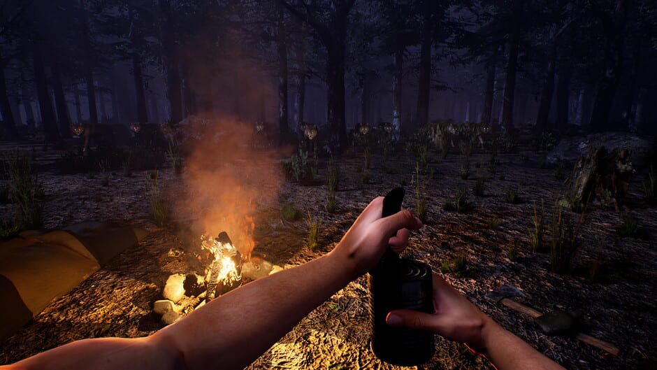 Capture de Cowboy Life Simulator
