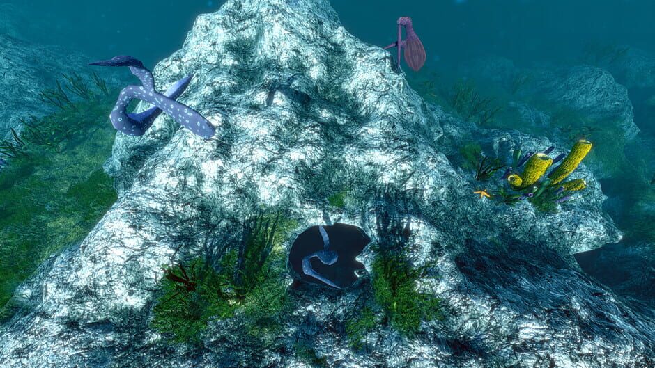 Capture d’Ecosystem