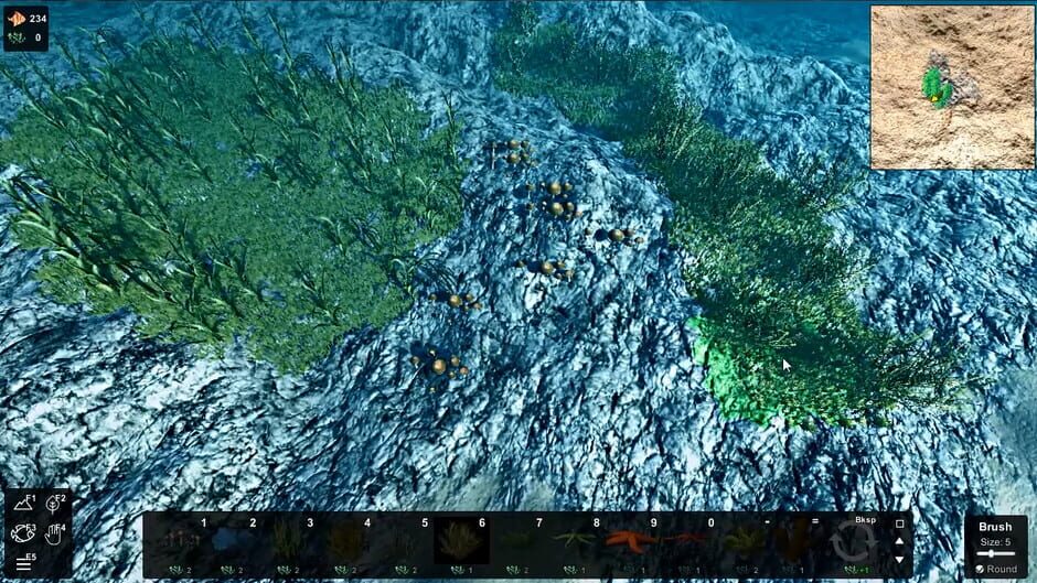 Capture d’Ecosystem