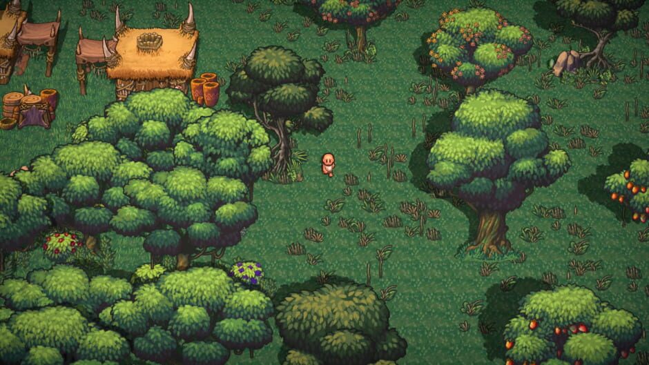 Capture de The Survivalists