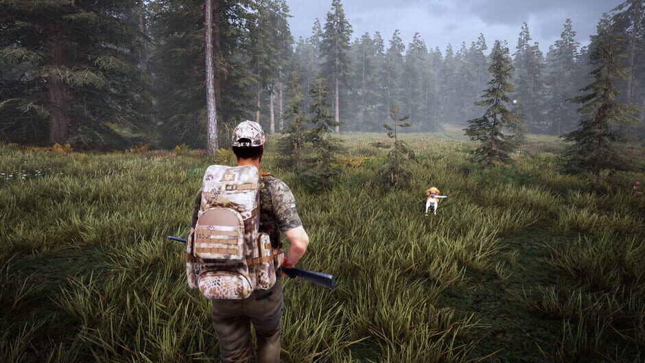 Capture de Hunting Simulator 2