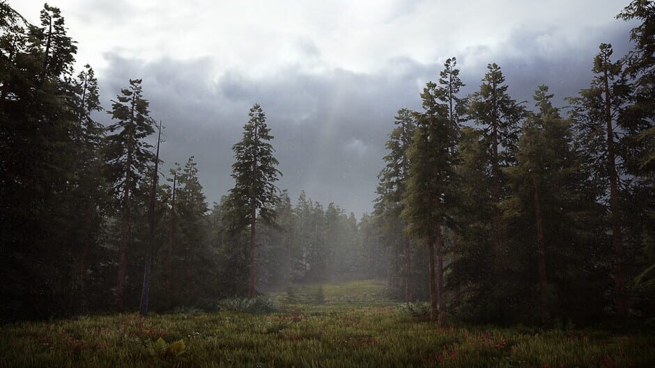 Capture de Hunting Simulator 2