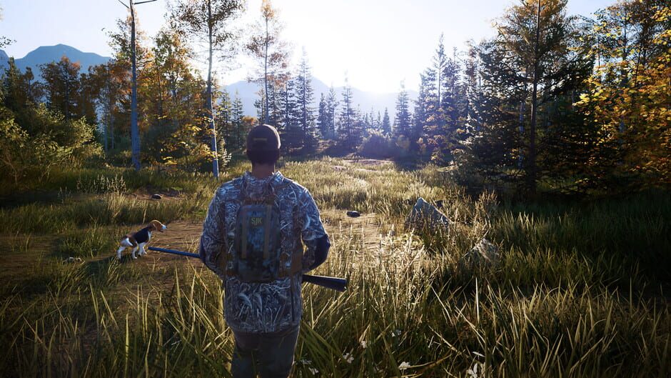 Capture de Hunting Simulator 2