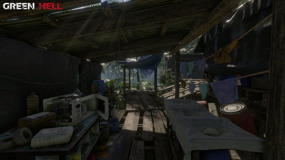 Capture de Green Hell