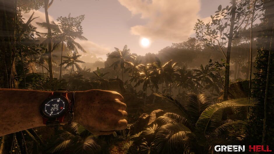 Capture de Green Hell