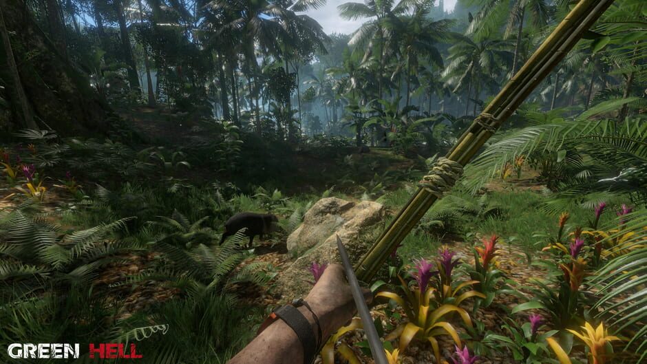 Capture de Green Hell