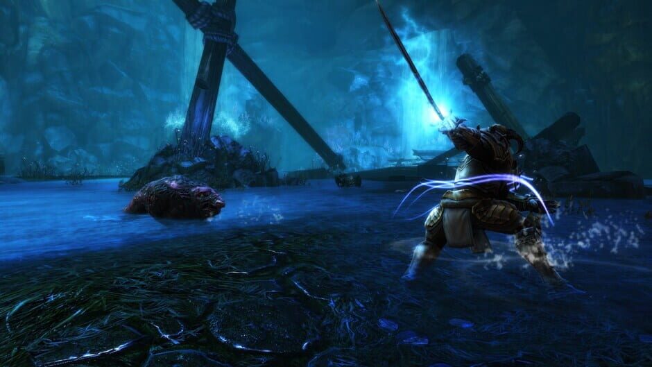 Capture de Kingdoms of Amalur: Re-Reckoning