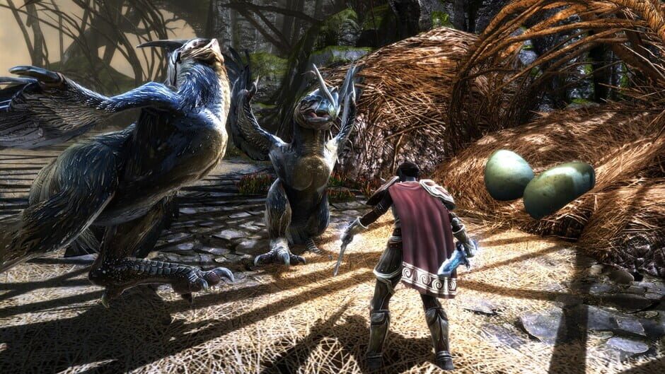 Capture de Kingdoms of Amalur: Re-Reckoning