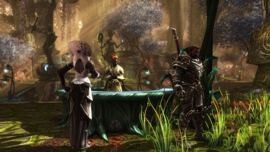 Capture de Kingdoms of Amalur: Re-Reckoning