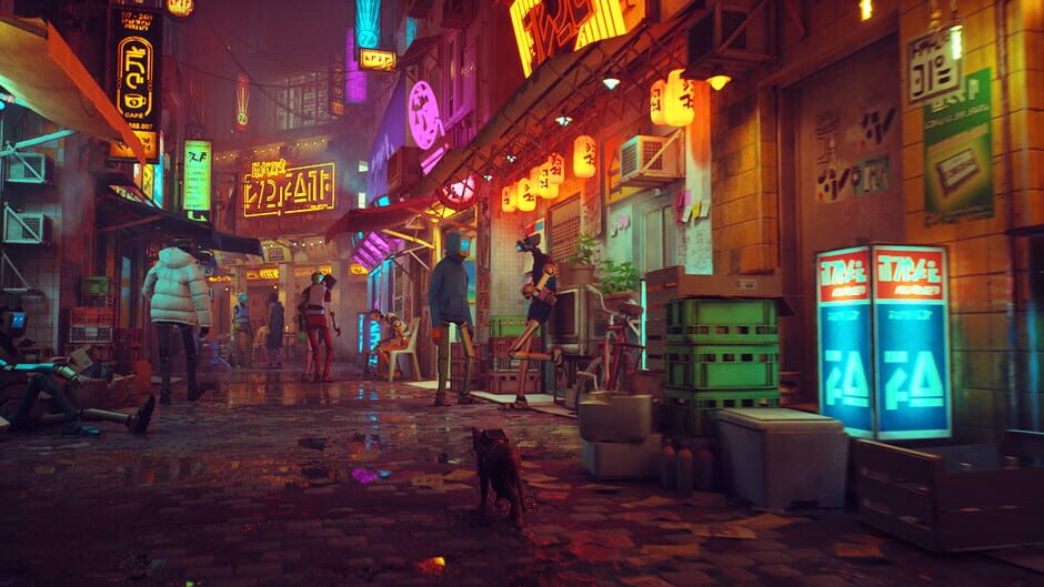 Capture de Stray