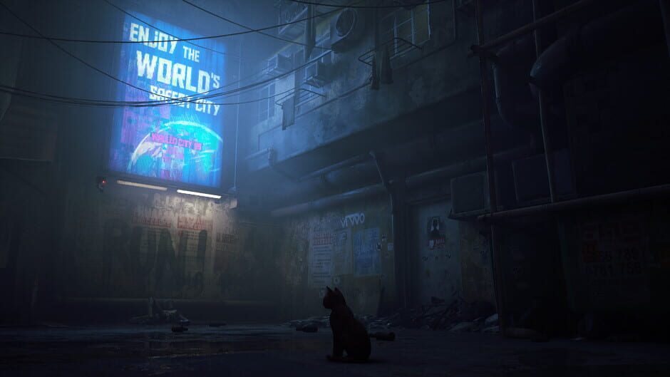 Capture de Stray