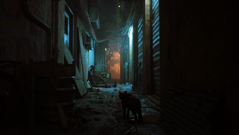 Capture de Stray