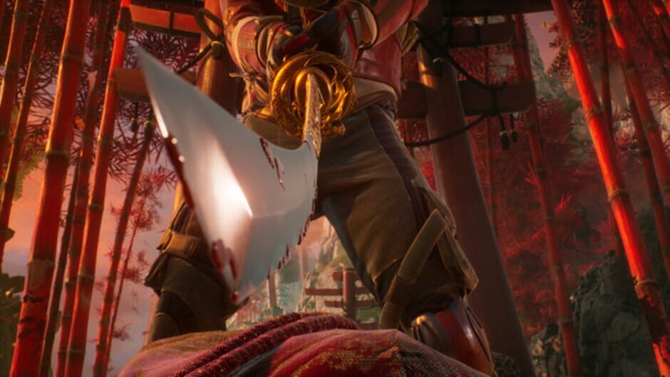 Capture de Shadow Warrior 3