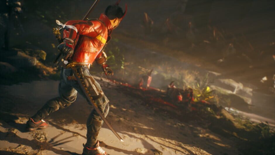Capture de Shadow Warrior 3