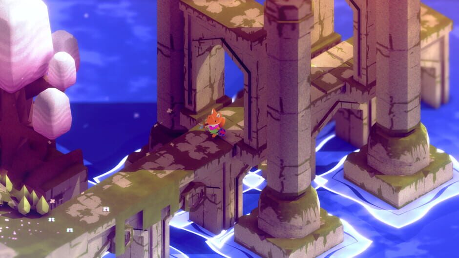 Capture de Tunic
