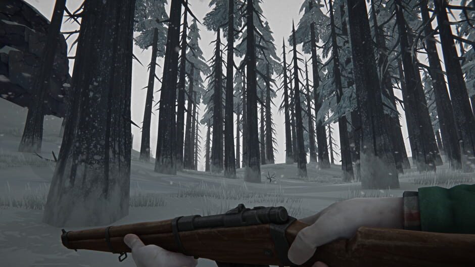 Capture de The Long Dark