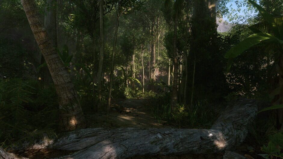 Capture de Crysis Remastered