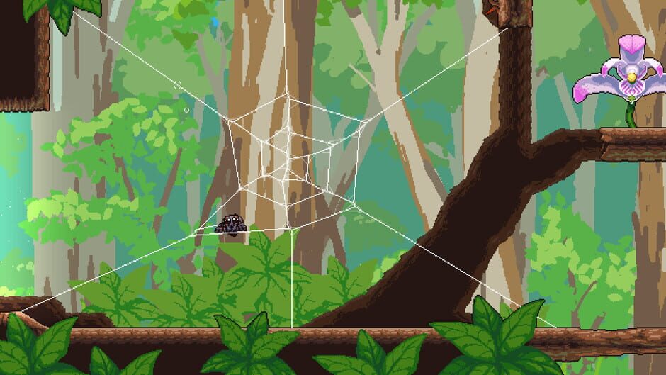 Capture de Webbed