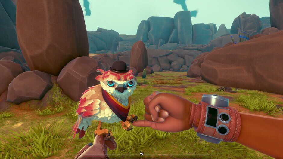 Capture de Falcon Age