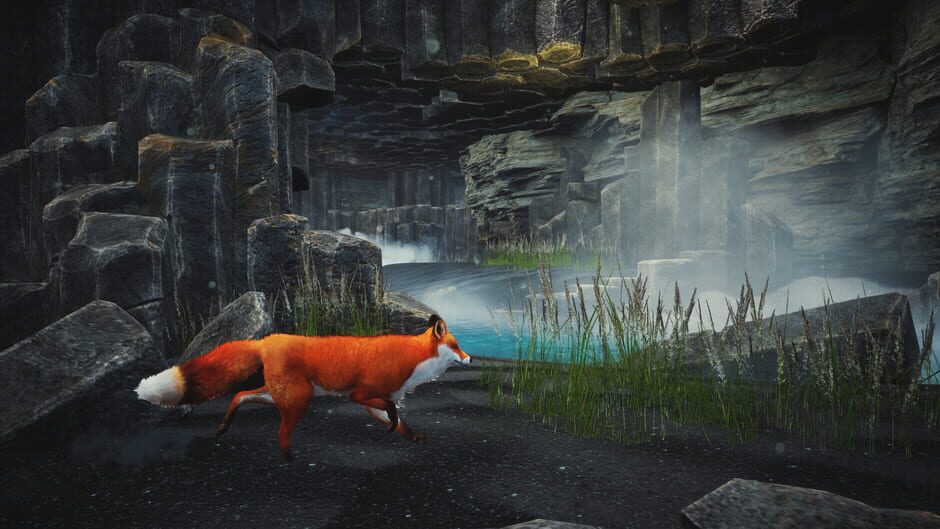 Capture de Spirit of the North: Enhanced Edition