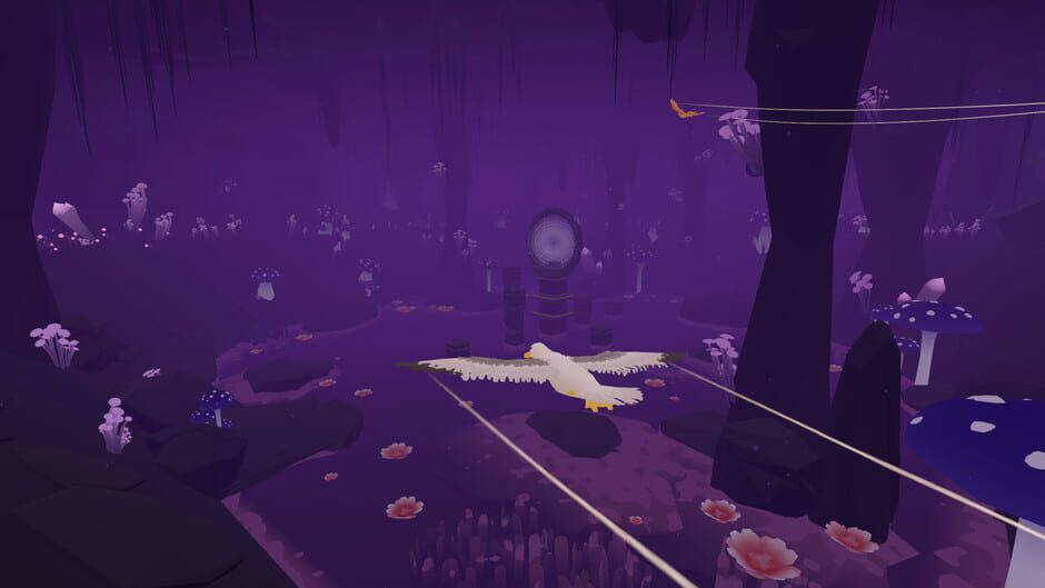 Capture de Feather