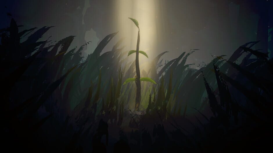 Capture de Sunlight