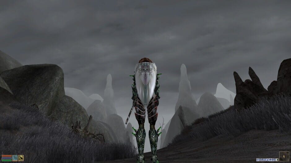 Capture de The Elder Scrolls III: Morrowind