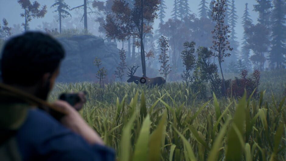 Capture d’Open Country