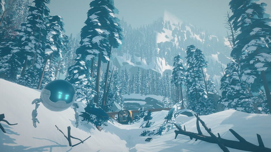 Capture d’Arctic Awakening