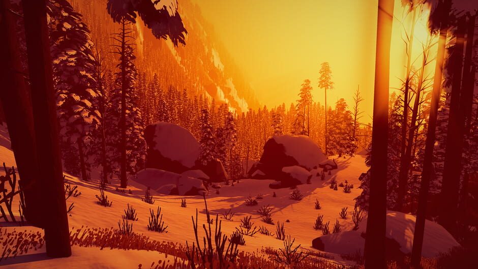 Capture d’Arctic Awakening