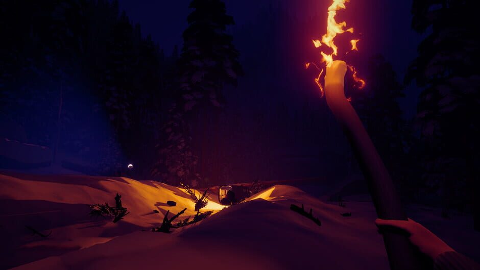 Capture d’Arctic Awakening