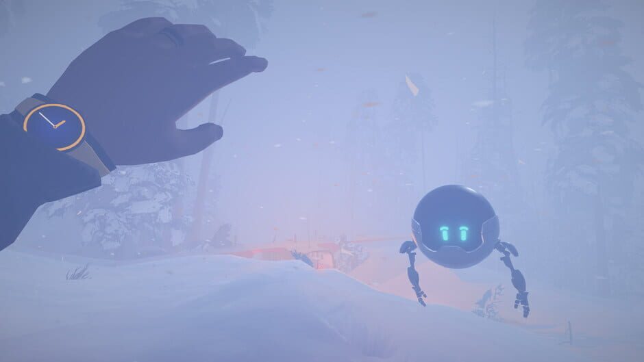 Capture d’Arctic Awakening
