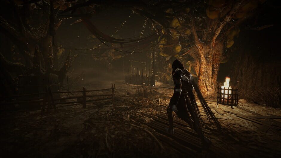 Capture de Thymesia