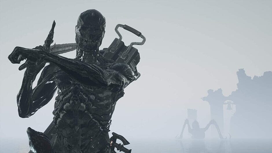 Capture de Mortal Shell: Enhanced Edition