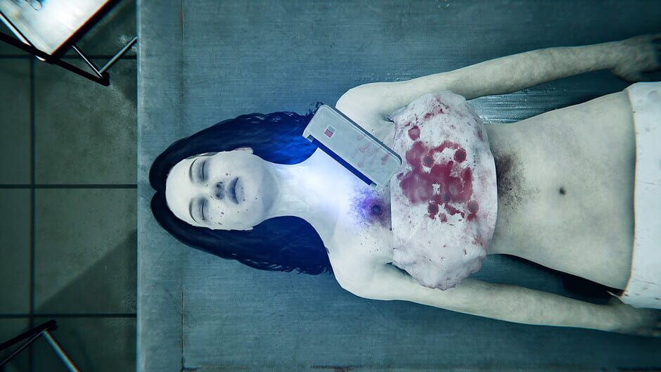 Capture d’Autopsy Simulator