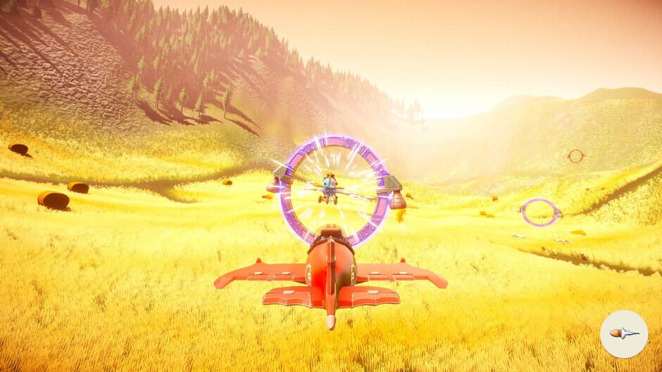 Capture d’Animal Rivals: Up in the Air