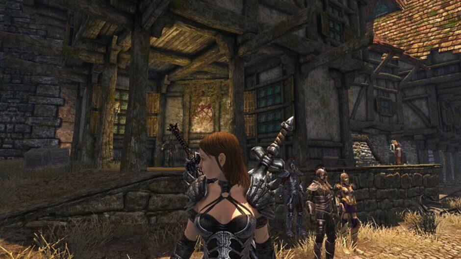 Capture de Divinity II: Developer's Cut