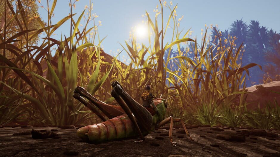 Capture de Smalland: Survive the Wilds