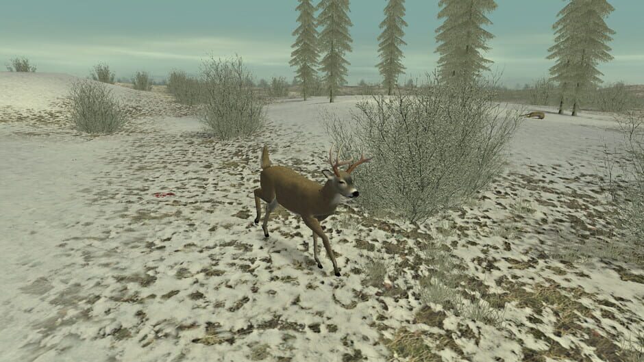 Capture de Hunting Unlimited 2