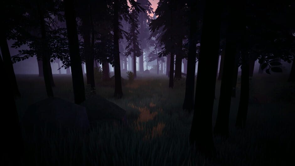Capture de Radiolight