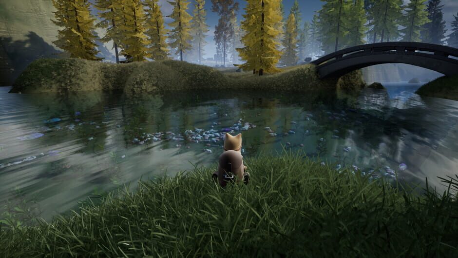 Capture de Wisper