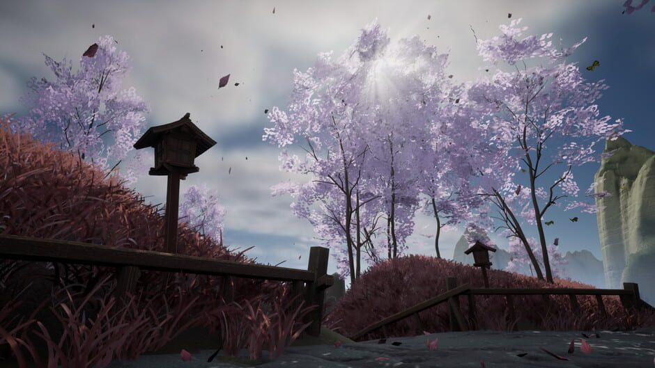 Capture de Wisper