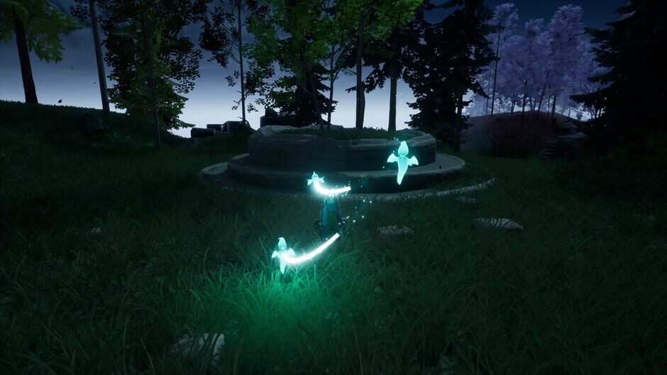 Capture de Wisper